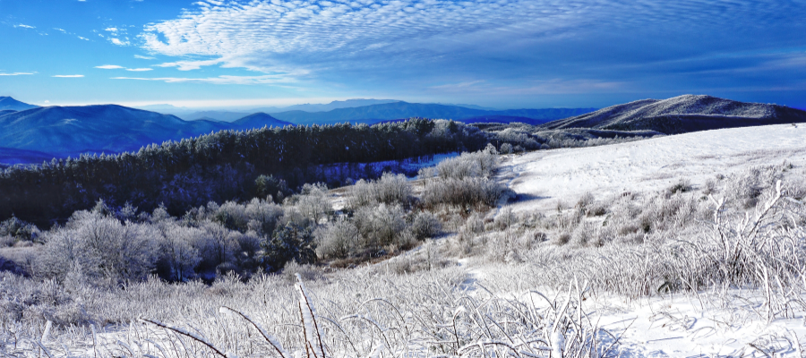 Asheville Winter