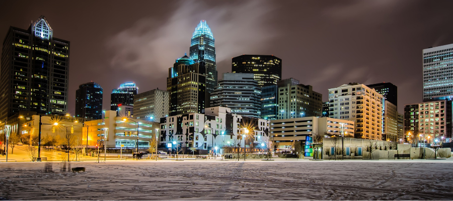 Charlotte Winter