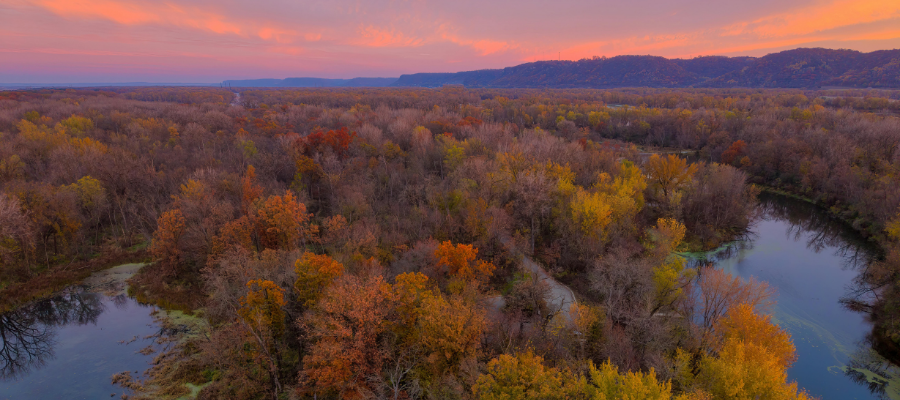 Fall views in MN