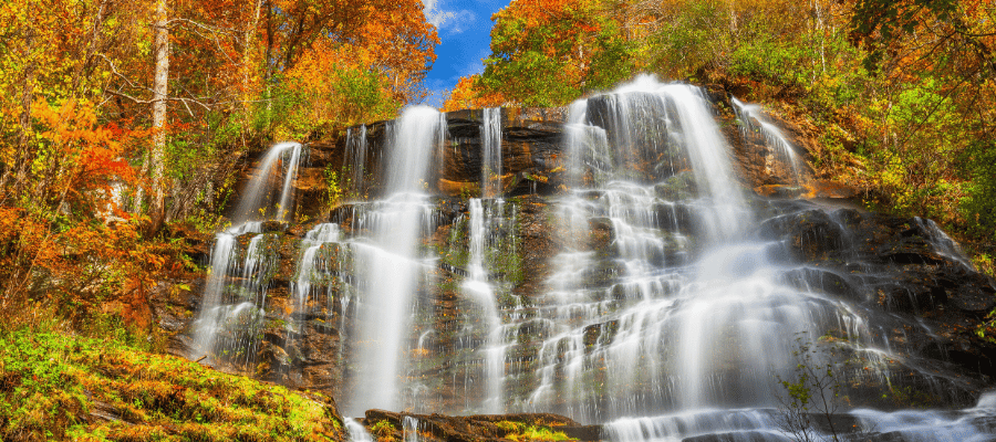 Georgia in the fall