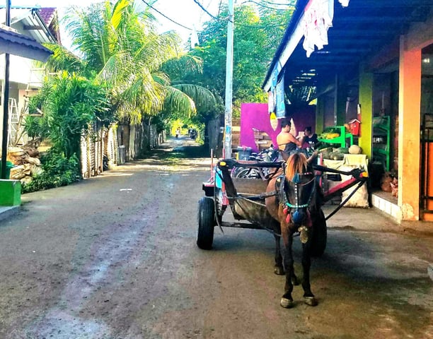 Meet Erica: A Traveling Therapist with a Sense of Adventure and a Commitment to Occupational Therapy