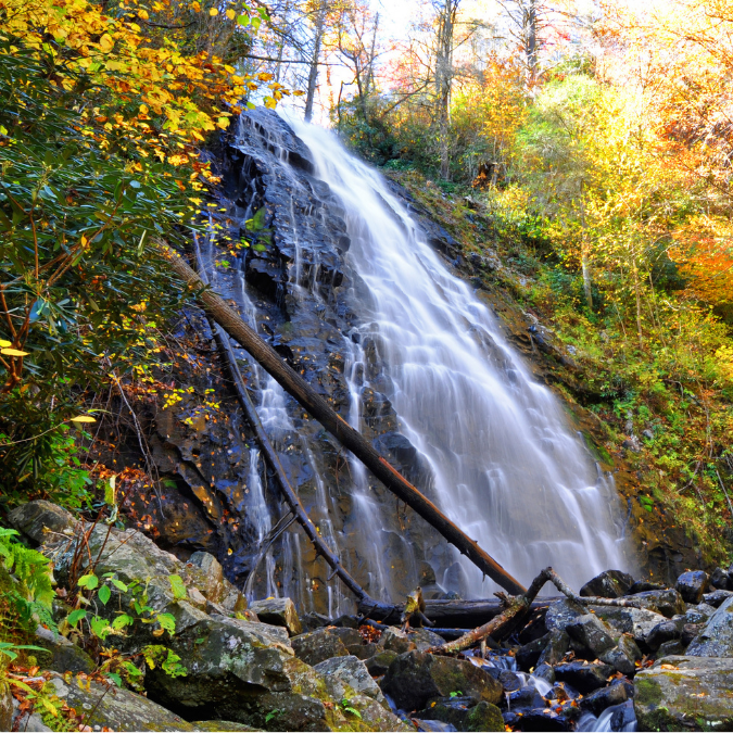 Marion, NC (1)