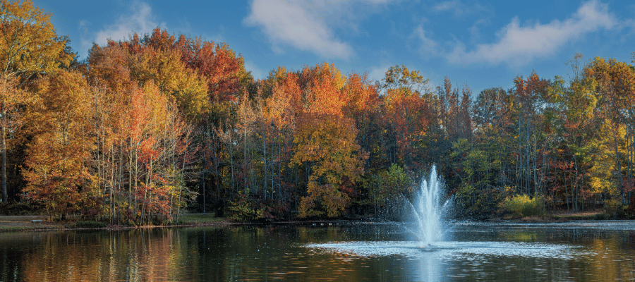 New Jersey Fall
