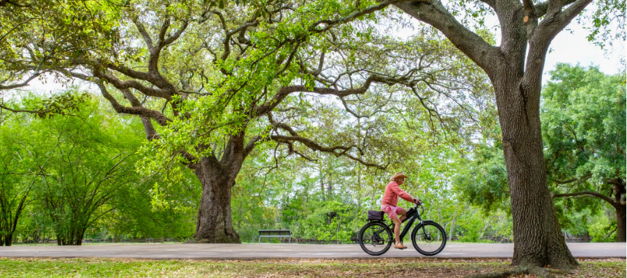 New Orleans Winter