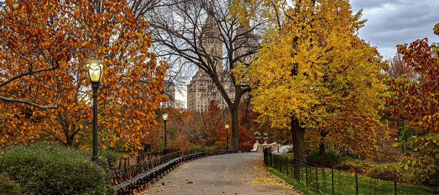New York Fall