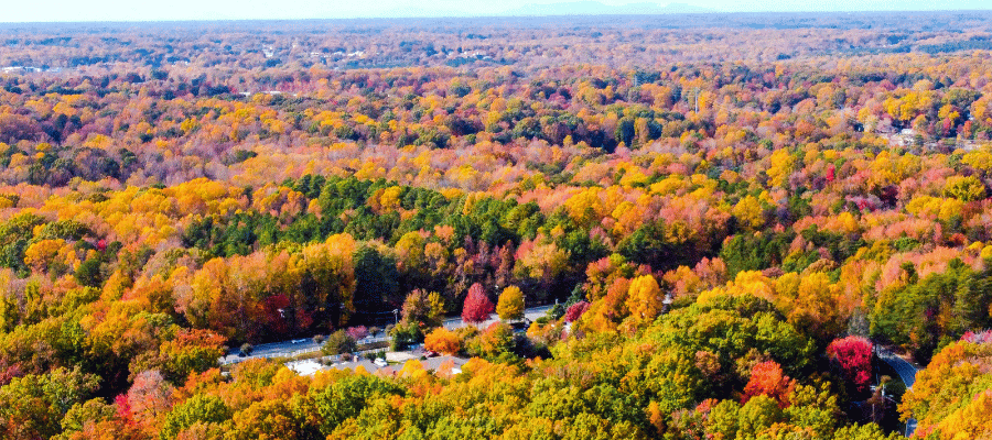 North Carolina in fall