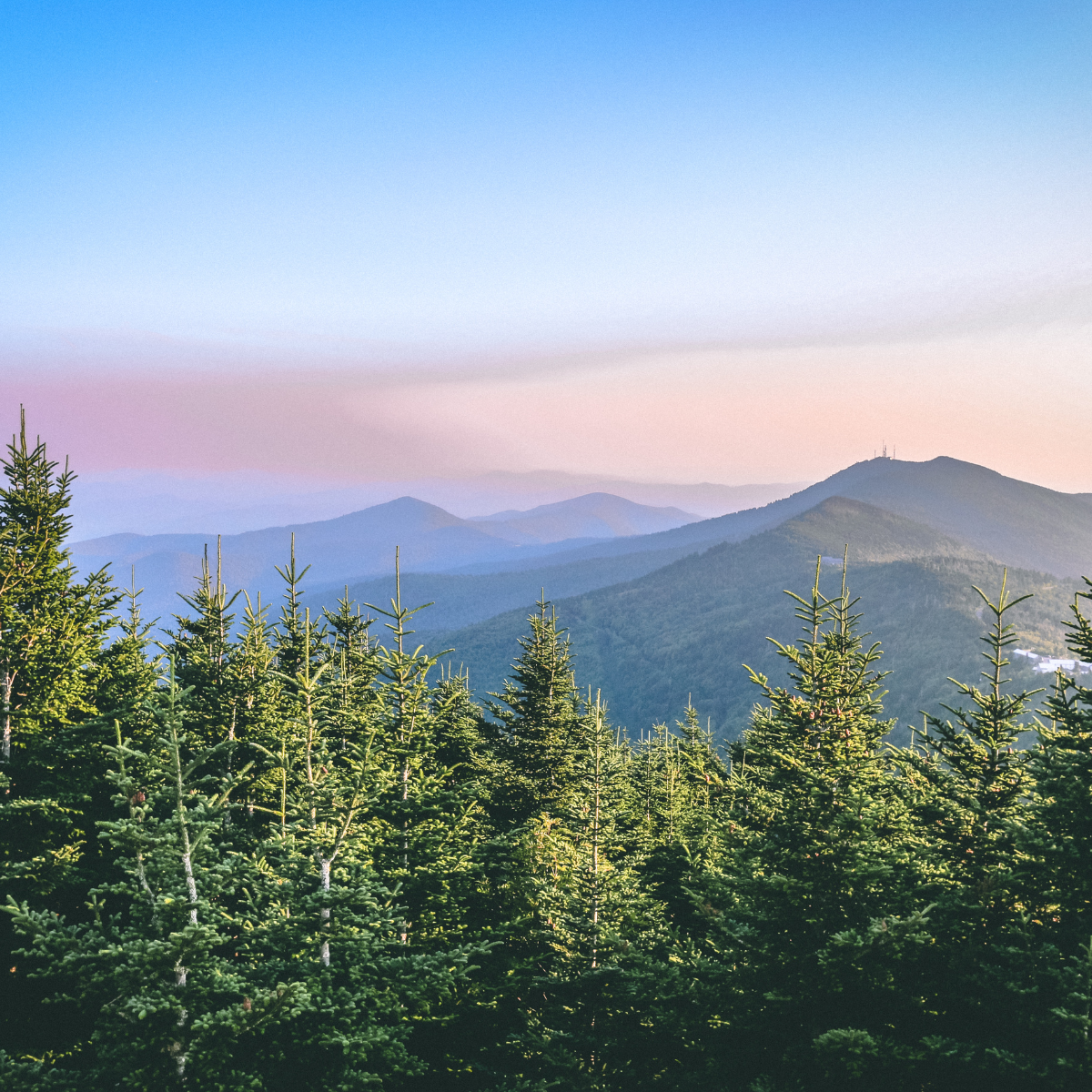 North Carolina-Dec-09-2025-09-24-16-3526-PM