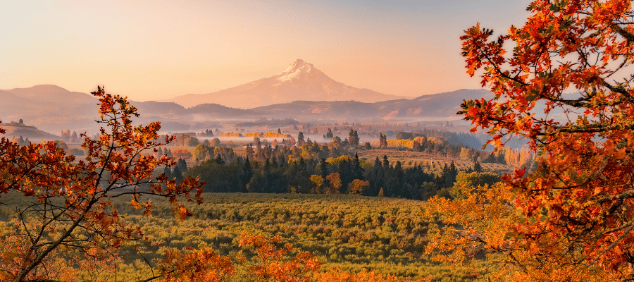 Oregon Fall (1)