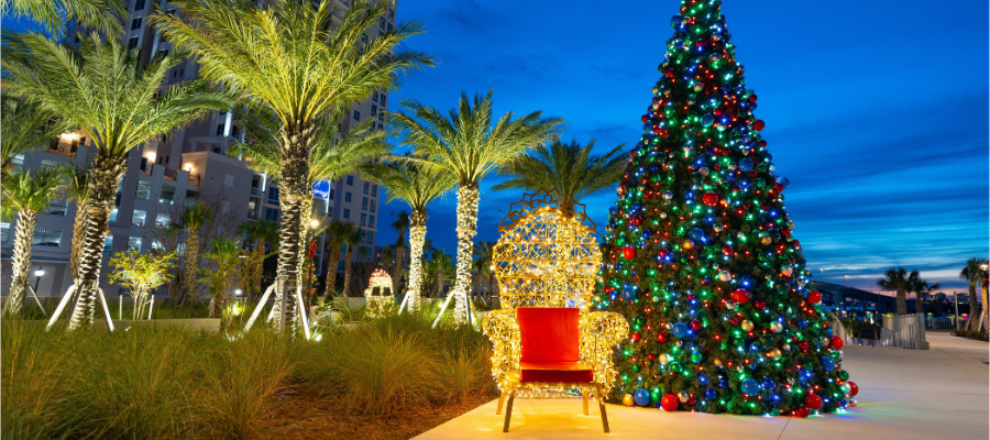 South Florida Winter
