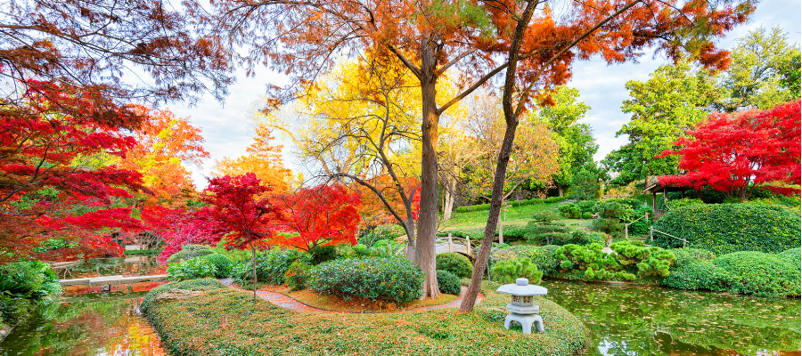 Texas in fall