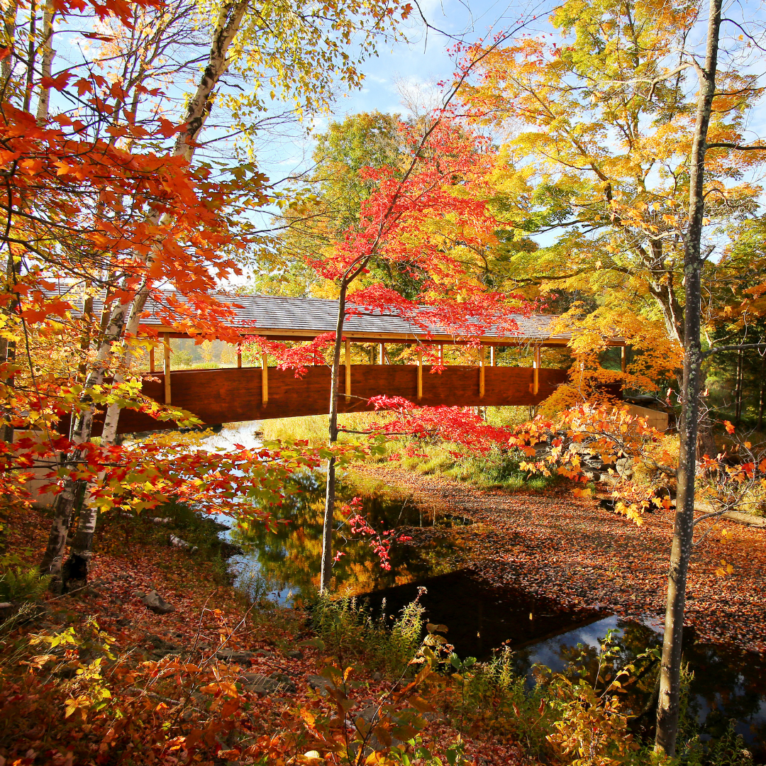 Upstate new york in fall