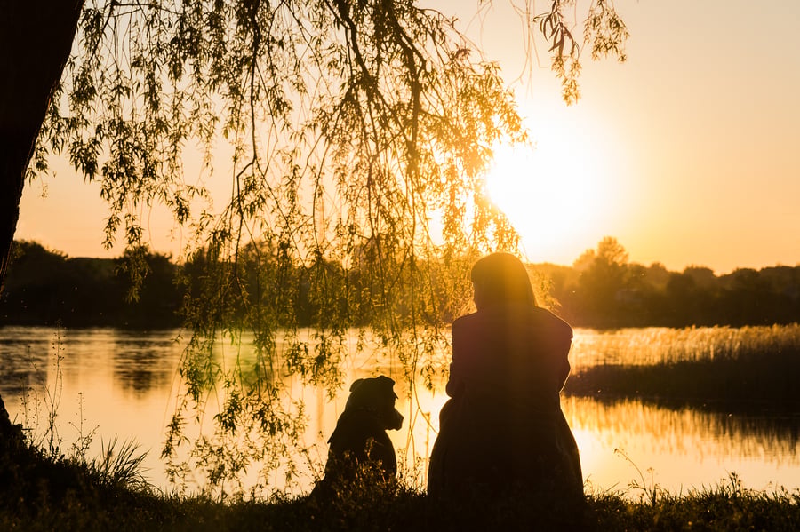 Steps to a Successful First Travel SLP Interview