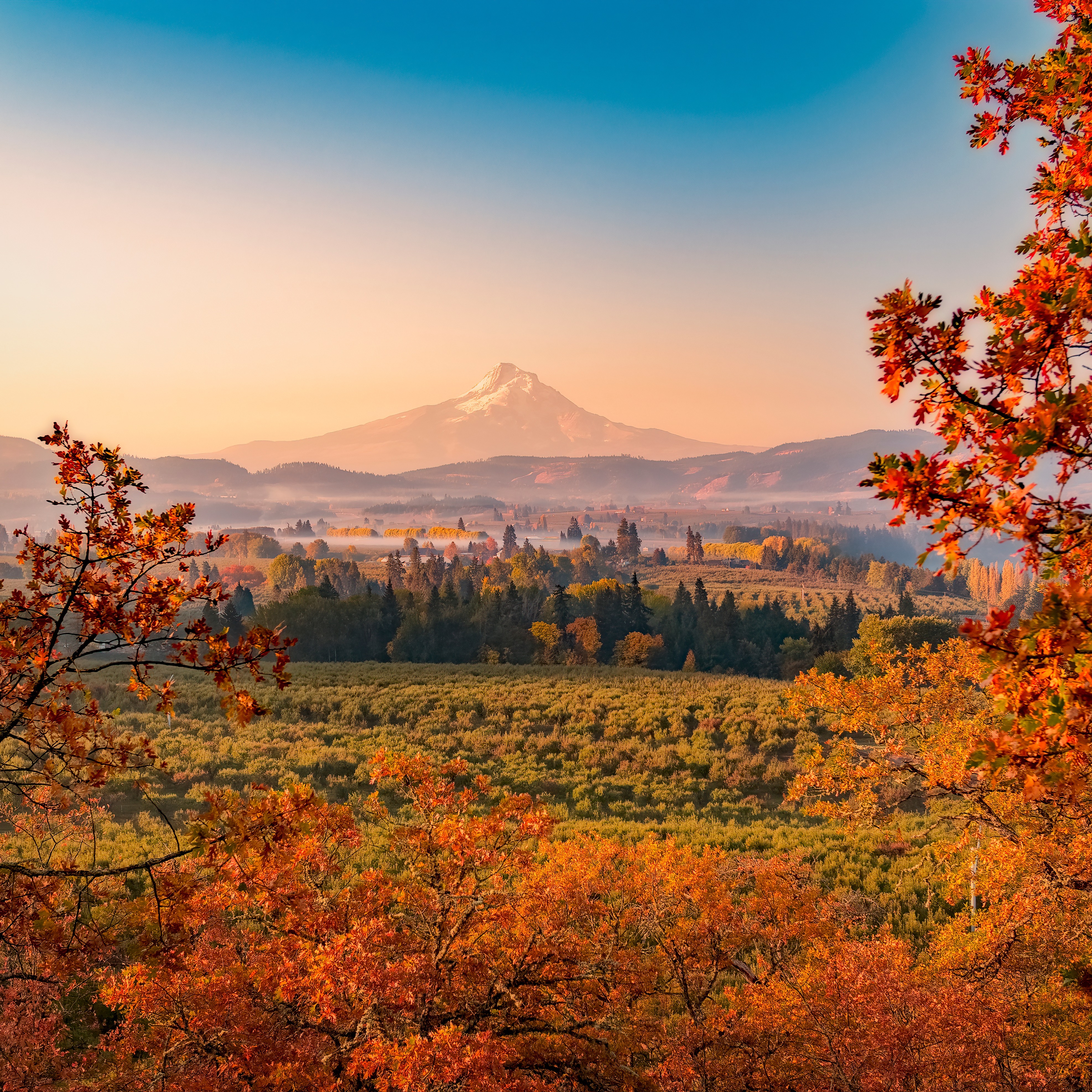 shutterstock_1279550848
