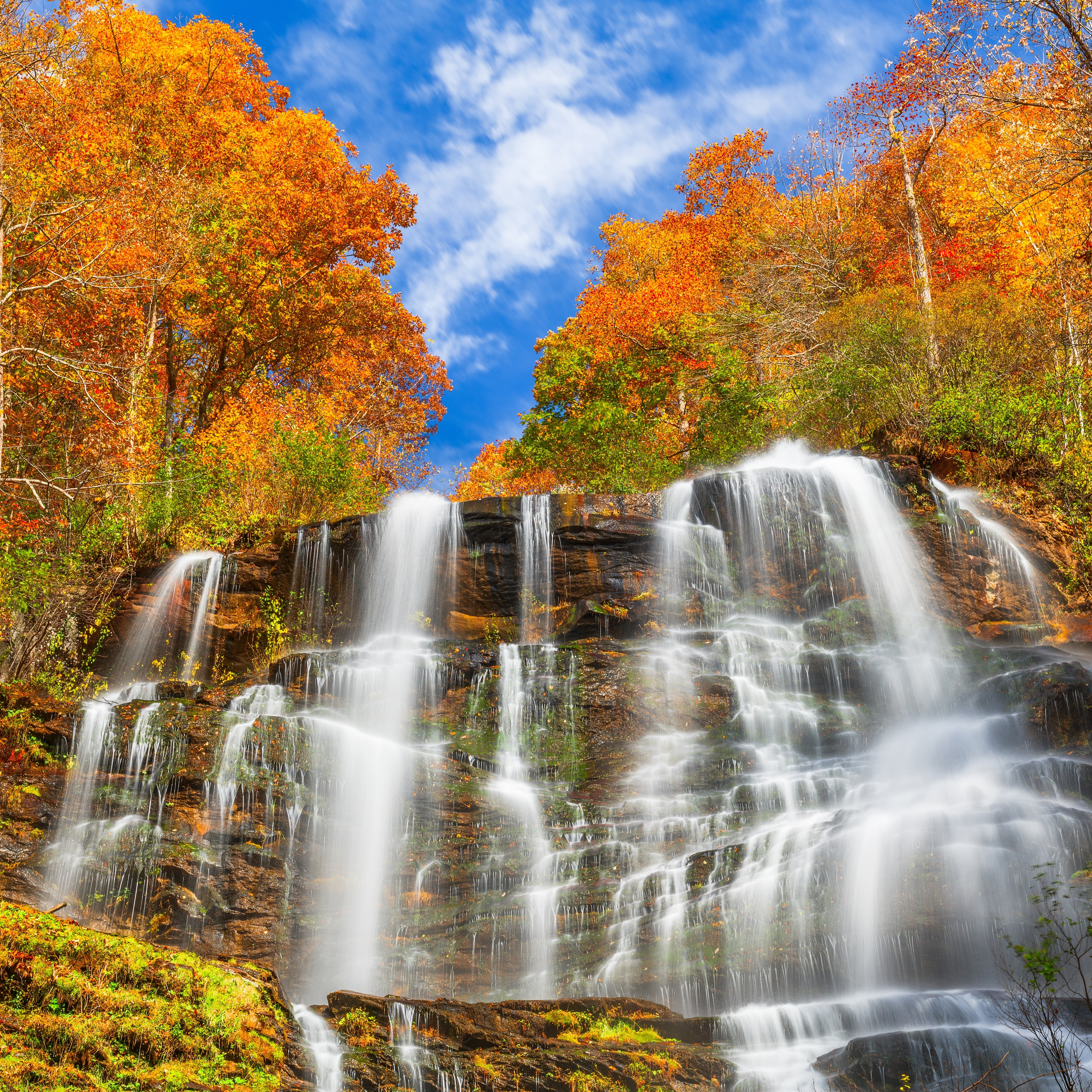 shutterstock_2422782569