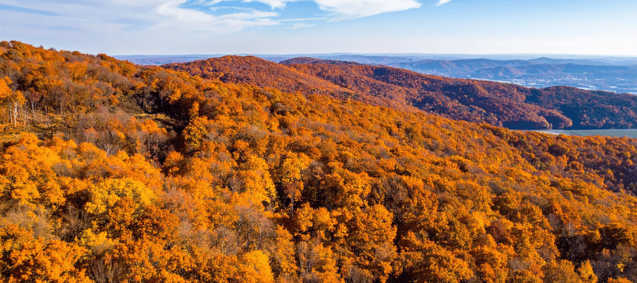 tennessee in fall (1)