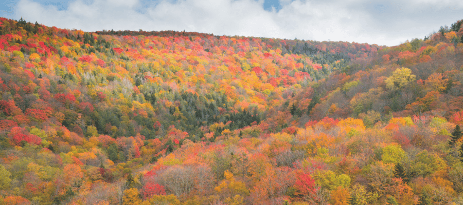 virginia in fall