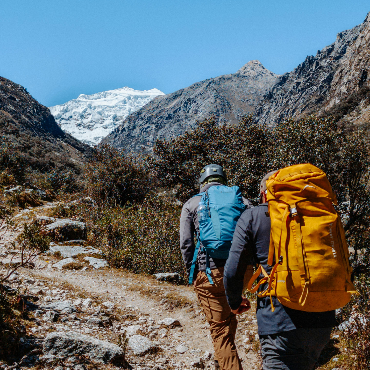 Your Career Is Bigger Than Your Job: A Mindset Shift for Traveling PTs, OTs, and SLPs