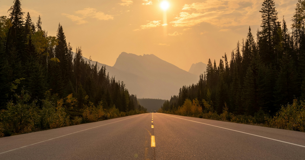 What Travel Therapists Can Learn From Freddy's Cross-Country Adventure