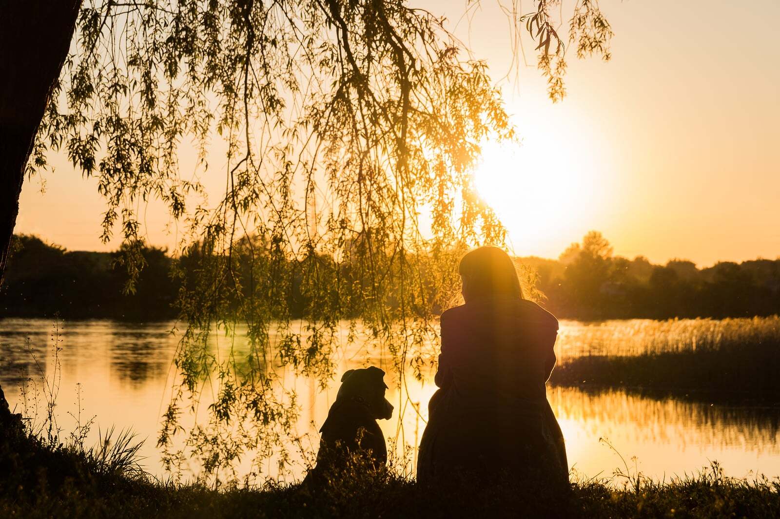 Steps to a Successful First Travel SLP Interview