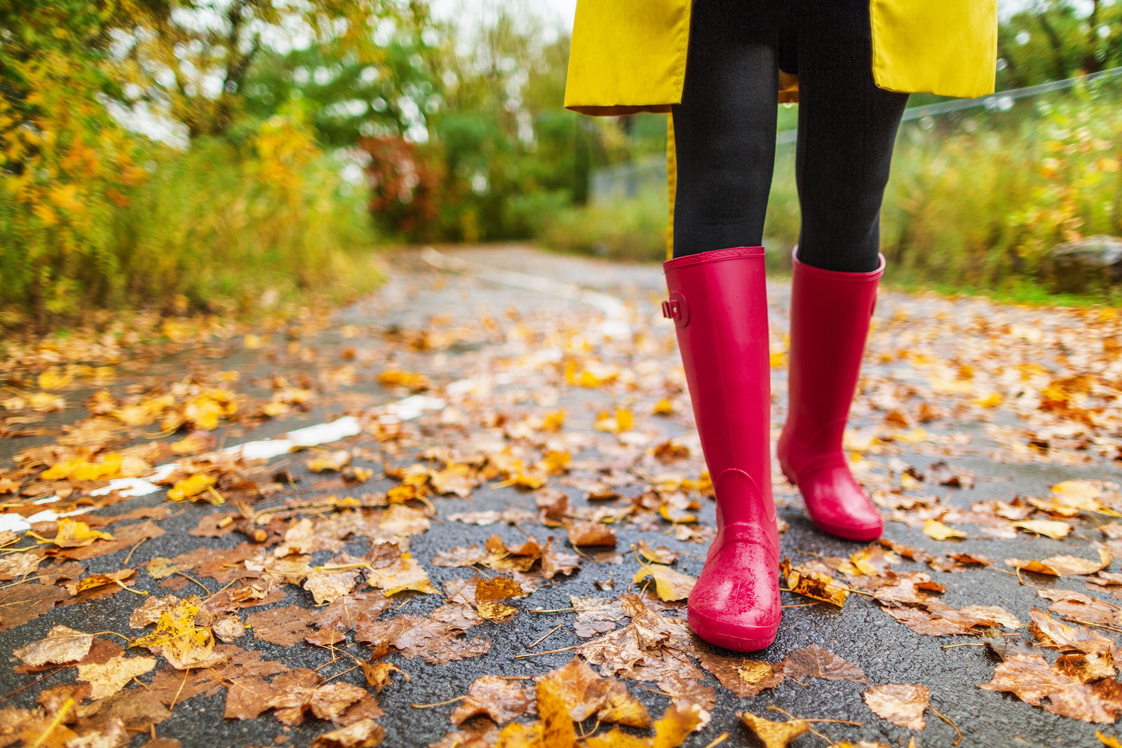 The Best States for a Fall Travel Therapy Job