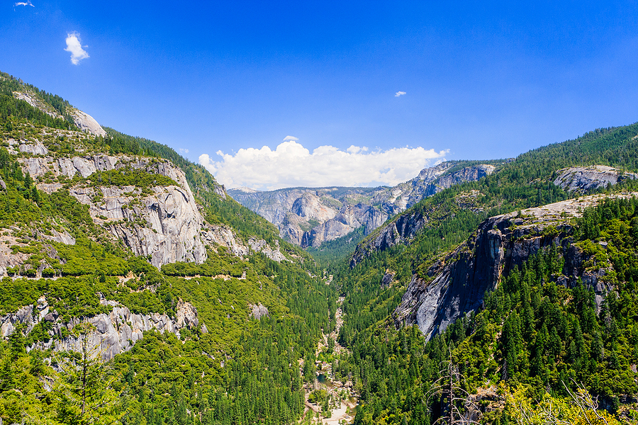 Best States for Travel COTAs This Spring and Summer