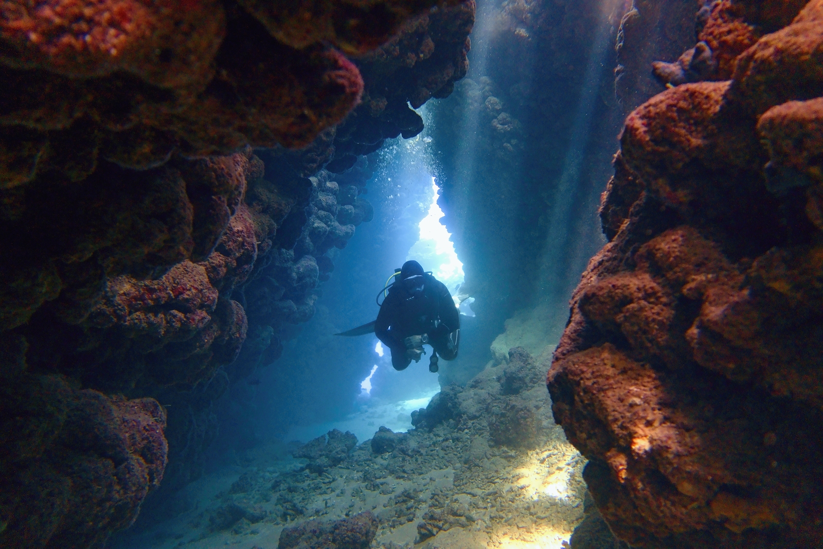 Summer’s coming.. have you thought about cave diving?