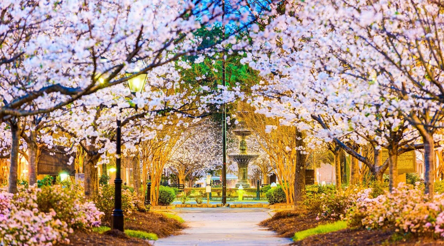 Where Will Spring Take You? Travel Therapy Jobs in Bloom
