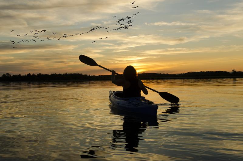 kayak