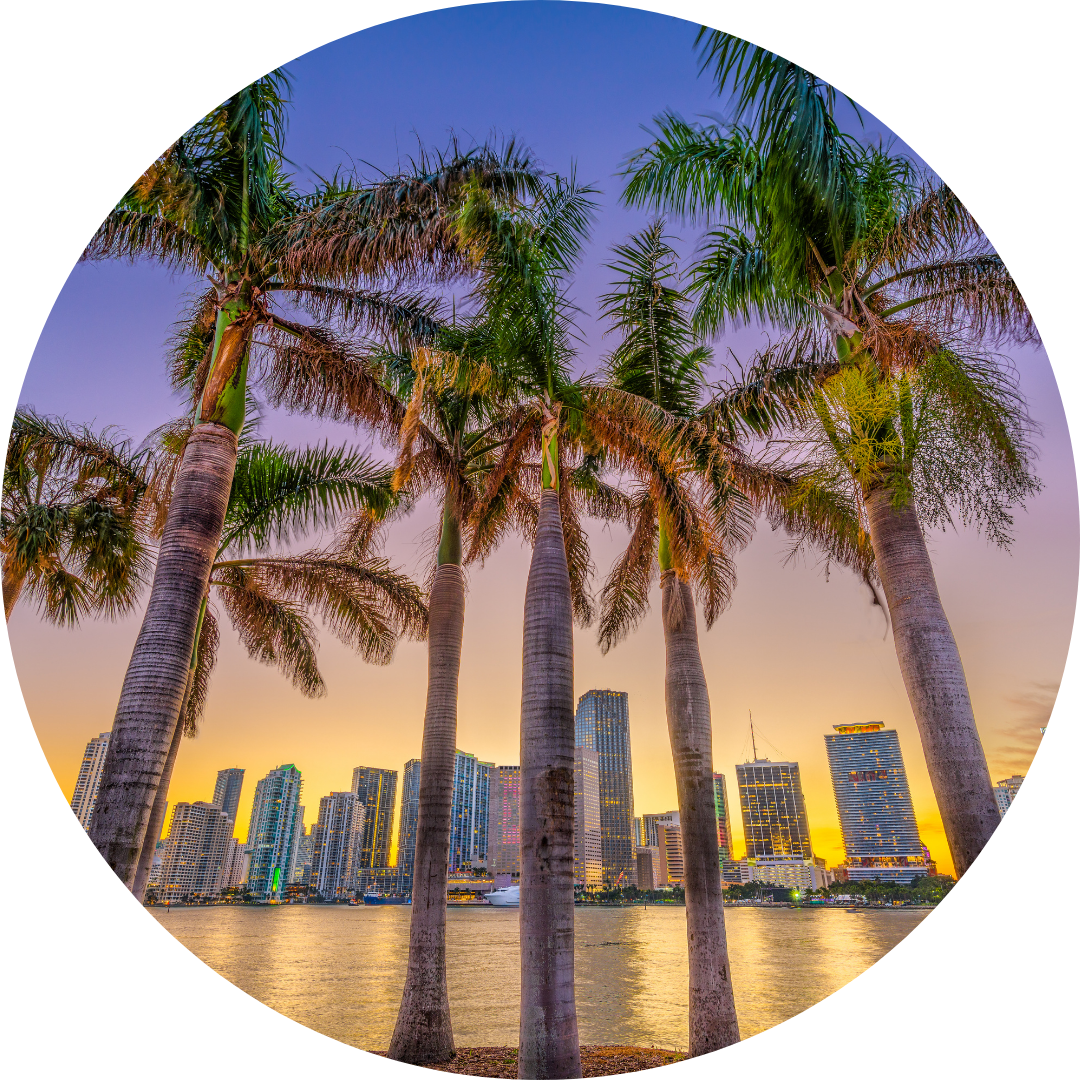 Miami Sunset