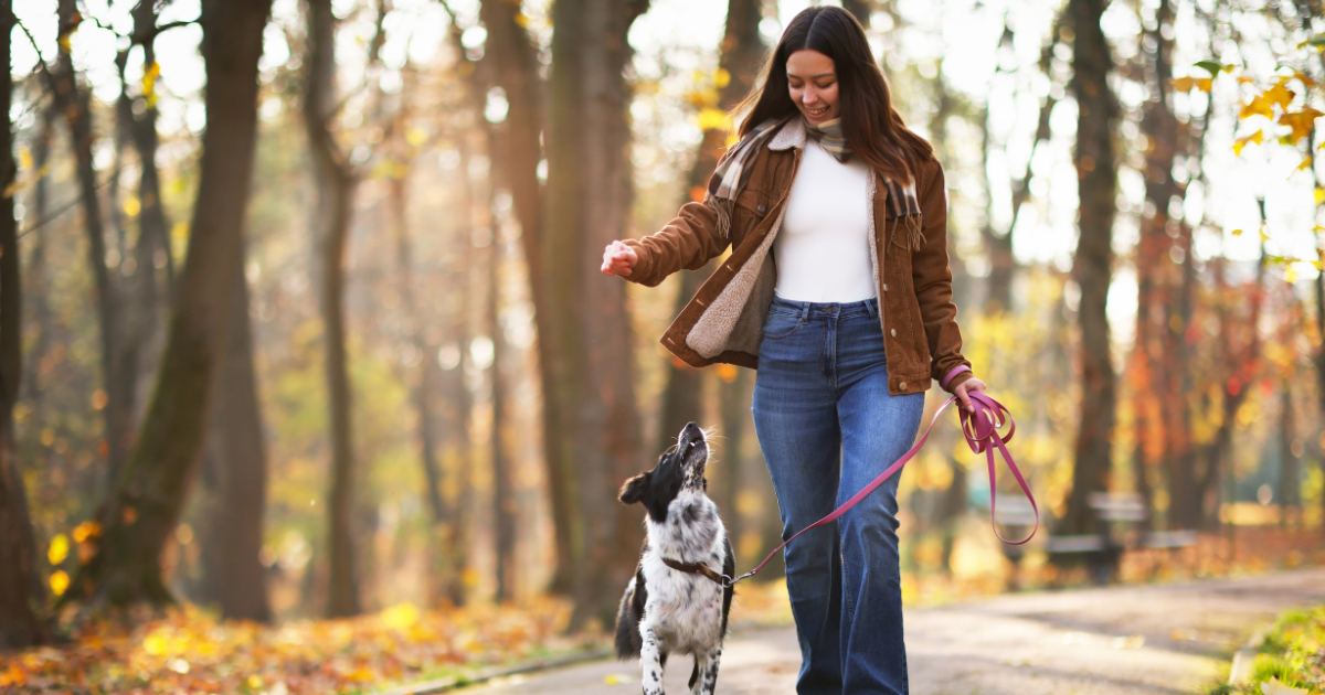 Where Should You Travel This Fall? 5 States for PTAs to Consider