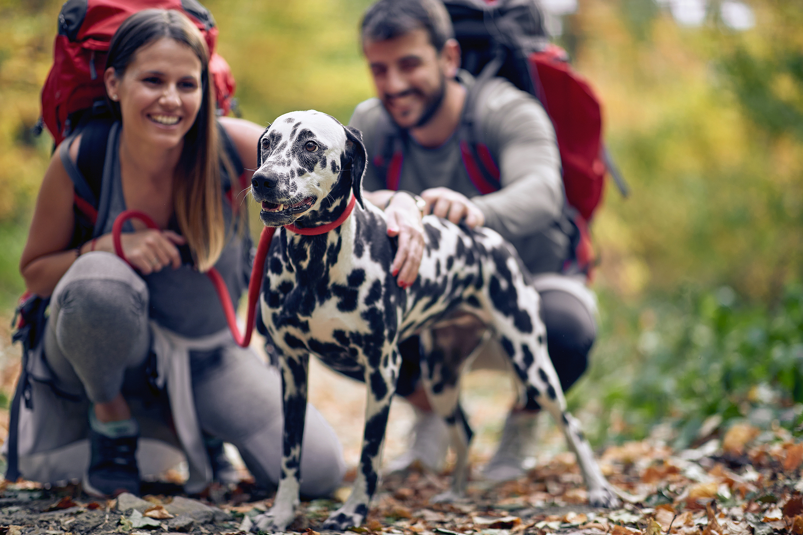 How You Can Travel, Earn More, and Grow Your Career as a New Grad PTA