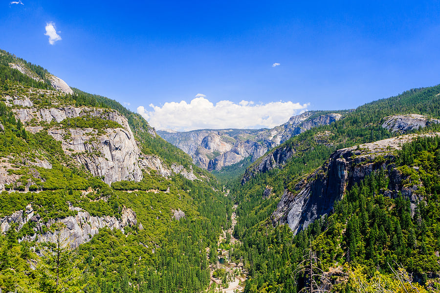 Best States for Travel COTAs This Spring and Summer