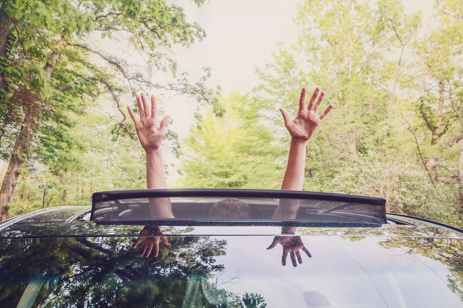 Road Trips and Secret Spots Every Travel OT Should Know