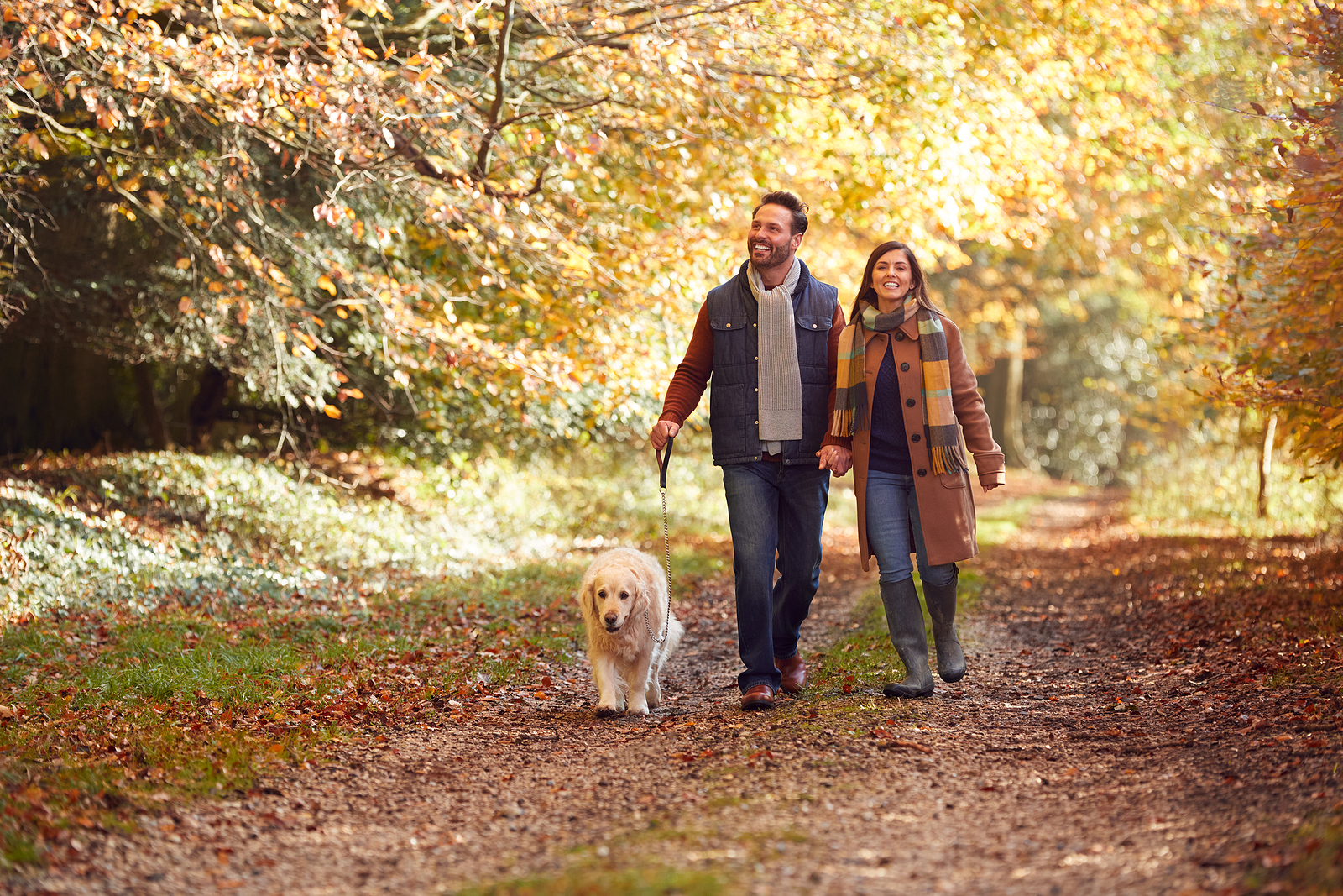 Couple walking dog down lane with fall colored leaves