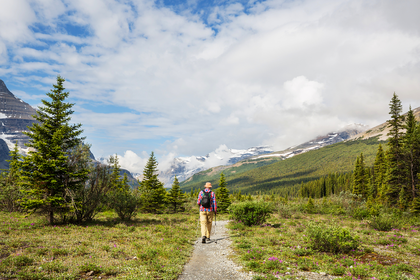 6 of The Best Hikes With No Entry Fee